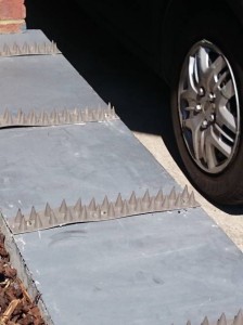 Spikes