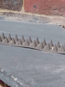 Spikes for skaters