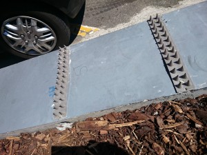 Two rows of spikes