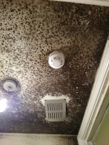ceiling_mould