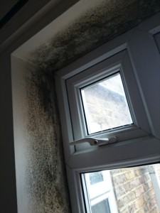 top_window