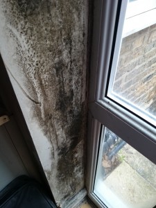 Mould around doorframe